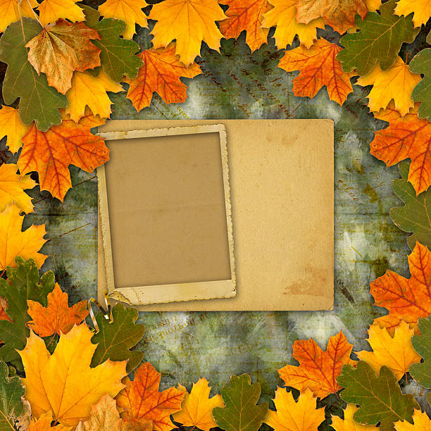 istock Bright multicolored autumn leaves on  abstract beautiful background 517992715