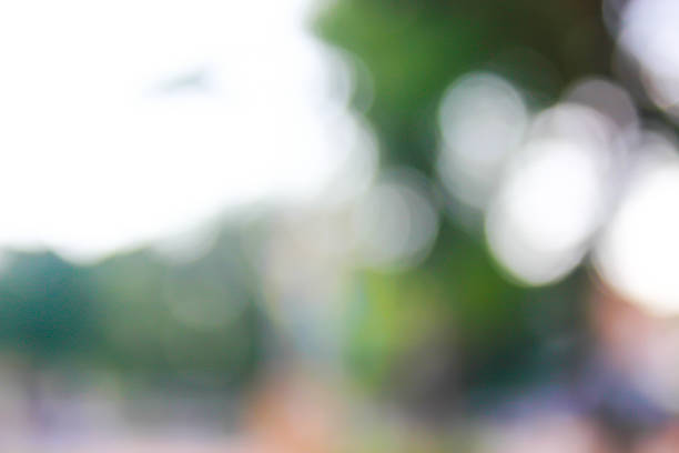 istock Bright colorful abstract background from plants, not in focus 517993911