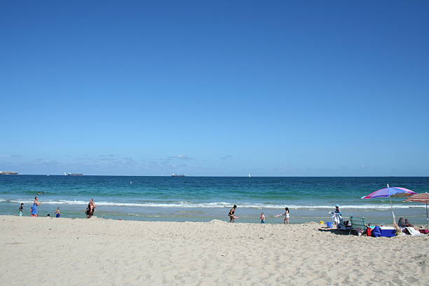 istock Playa Sardinera in Dorado 517996319