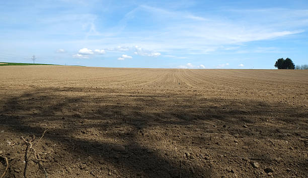 istock Countryside between Lausanne and Morges 517996462