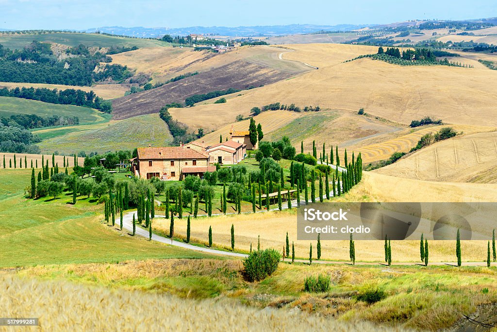 Crete Senesi (Tuscany, Italy) Crete senesi, characteristic landscape in Val d'Orcia (Siena, Tuscany, Italy), at summer. Agricultural Field Stock Photo