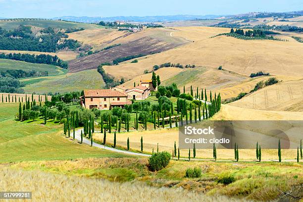 Crete Senesi Stock Photo - Download Image Now - Agricultural Field, Agriculture, Asciano