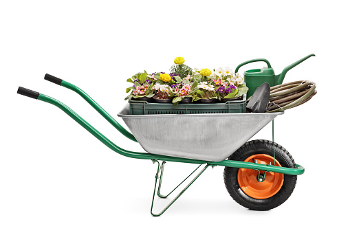 Studio shot of a metal wheelbarrow full of gardening equipment and flowers isolated on white background
