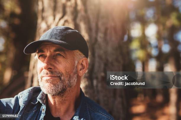 Senior Man Sitting In Woods On A Summer Day Stock Photo - Download Image Now - Men, Contemplation, Mature Men