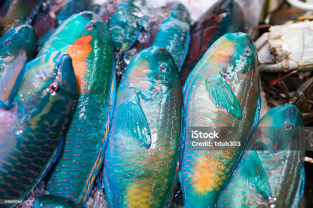 ปลาเขตร้อนในตลาดสาธารณะในโอกินาว่า, ญี่ปุ่น - ไม่มีค่าลิขสิทธิ์ ปลาเขตร้อน - ปลาน้ำเค็ม ภาพสต็อก