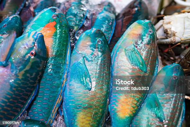 ปลาเขตร้อนในตลาดสาธารณะในโอกินาว่า ญี่ปุ่น ภาพสต็อก - ดาวน์โหลดรูปภาพตอนนี้ - ปลาเขตร้อน - ปลาน้ำเค็ม, กลางแจ้ง - การตั้งค่า, การค้าปลีก - บริโภคนิยม