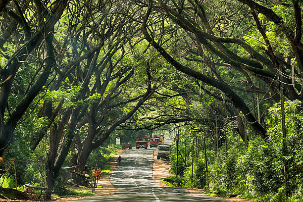 Intercity Road in Sri Lanka