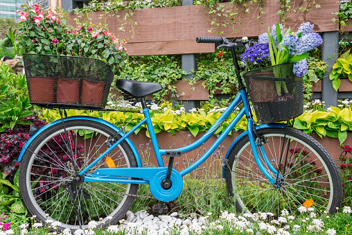 bicycle equipped with baskets of flowers in garden