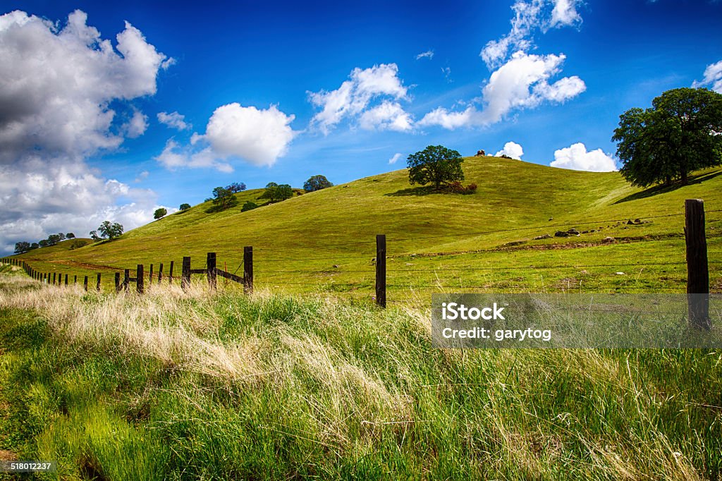 Sanften grünen Hills - Lizenzfrei Kalifornien Stock-Foto