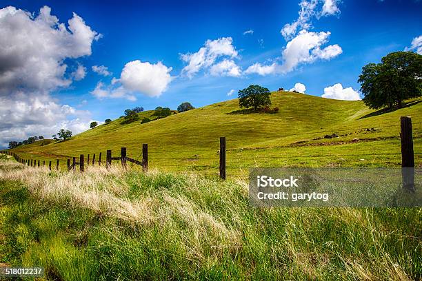 Sanften Grünen Hills Stockfoto und mehr Bilder von Kalifornien - Kalifornien, Fresno, Central Valley - Kalifornien