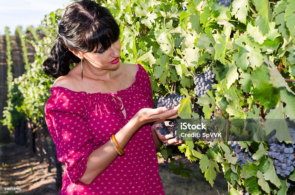 Playfull brunette in the vineyard Beautiful woman in colorful dress during grapes harvest Adult Stock Photo