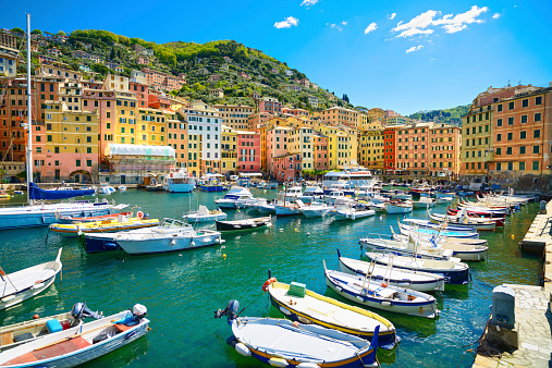 Camogli marina harbor, boats and typical colorful houses. Travel destination Ligury, Italy, Europe.