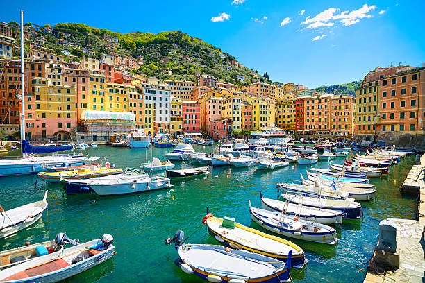 Camogli marina harbor, boats and typical colorful houses. Ligury Camogli marina harbor, boats and typical colorful houses. Travel destination Ligury, Italy, Europe. fish village stock pictures, royalty-free photos & images
