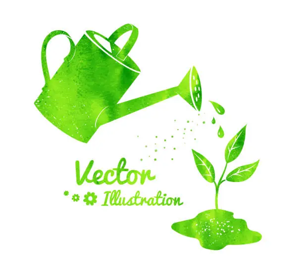 Vector illustration of Watering can and growing sprout.