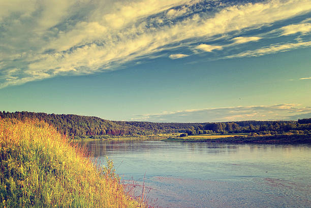 summer landscape on the river