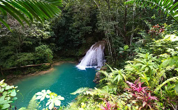 One of the beautiful waterfall of the Blue Hole located in the hills of Ocho Rios, Jamaica. 
