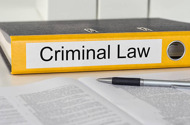 istock Folder with the label Criminal Law 518022310