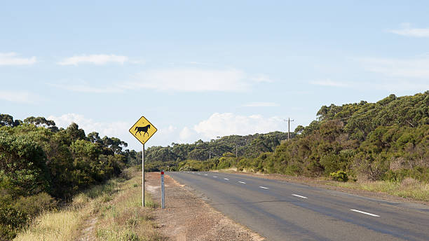 istock road sign in rural Australia 518022718