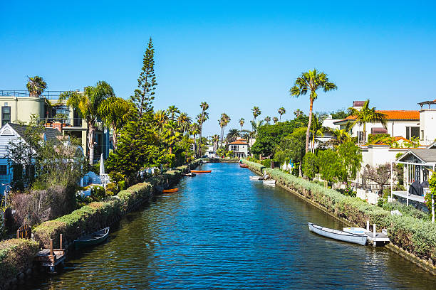 canais em veneza beach, califórnia, eua - palm tree california city of los angeles venice beach - fotografias e filmes do acervo