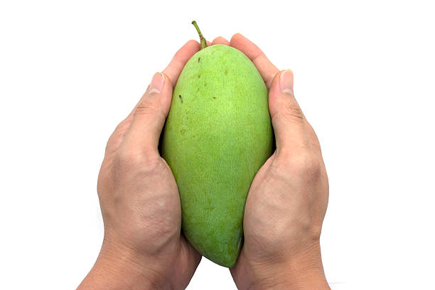 istock Handfuls of Mango Fruit 518023442