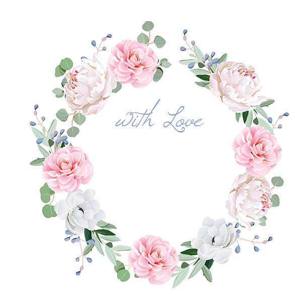 Spring fresh flowers and eucaliptis leaves round vector frame Spring fresh peony, anemone, camellia, brunia flowers and eucaliptis leaves round vector frame. All elements are isolated and editable.. flower arrangement bouquet variation flower stock illustrations