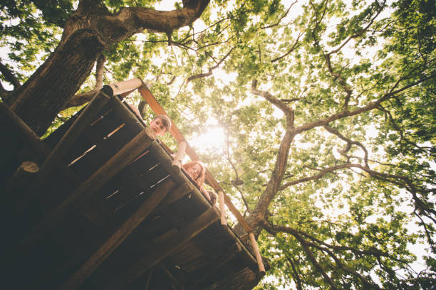Low angle shot of a row of children smiling while lying down in a treehouse and looking over the edge with the lush green leaves of the crown of the tree visible above them with soft sun flare filtering though