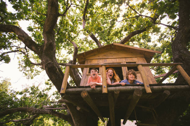 istock Friends laughing an shouting in a summer treehouse 518026022