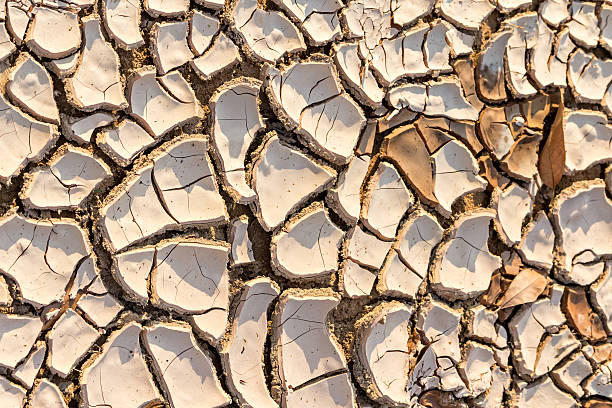 istock Surface of land with dry and cracked ground 518026296