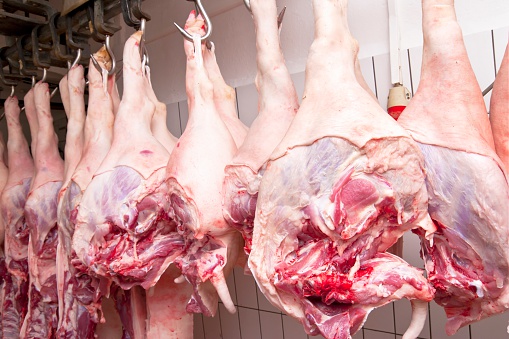 Pork legs hanging on butcher hooks on a over head conveyor belt