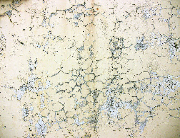 istock wall of the courtyard 2 518028458