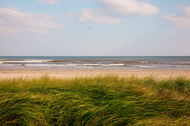 dunes de sable dans l'ouest de galveston, au texas - région de la côte du golfe photos et images de collection