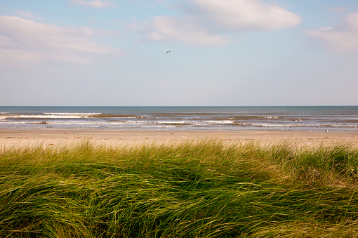 A landscape view of the coast in the distance can be seen several wind turbines out ot sea, producing green energy.