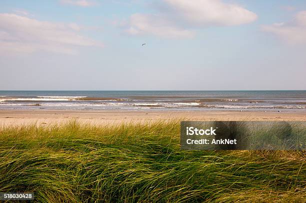 Sand Dunes In West Galveston Texas Stock Photo - Download Image Now - Texas, Beach, Coastline