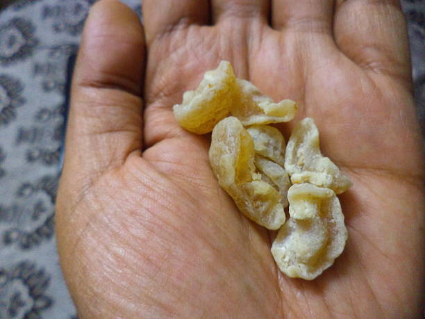 istock Dried Gooseberry Candies 518030816