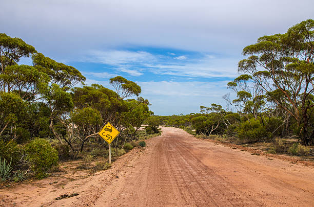 istock Australian dirt road outback eucalyptus trees warning sign 518030856