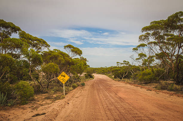 istock Australian dirt road outback eucalyptus trees warning sign 518031186