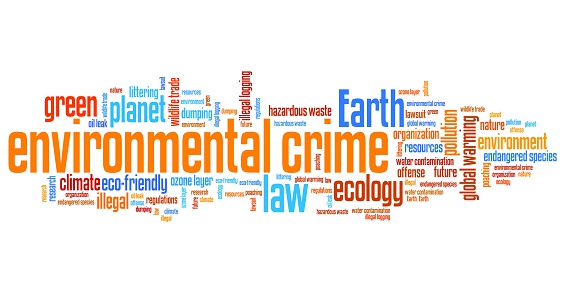 Environmental crime - eco issues and concepts word cloud illustration. Word collage concept.