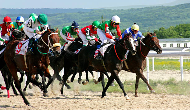 istock Horse racing  in Pyatigorsk 518032138