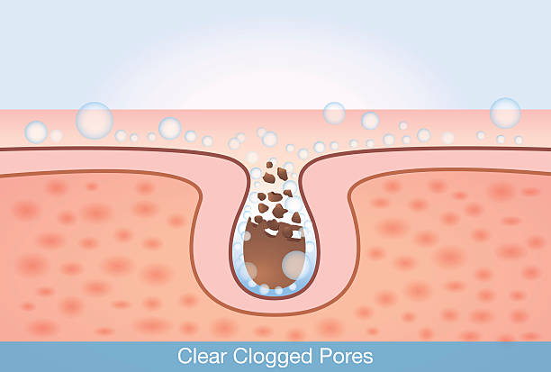 Deep cleaning unclog pores Deep cleaning unclog pores. This illustration about skin care and beauty. leaf epidermis stock illustrations