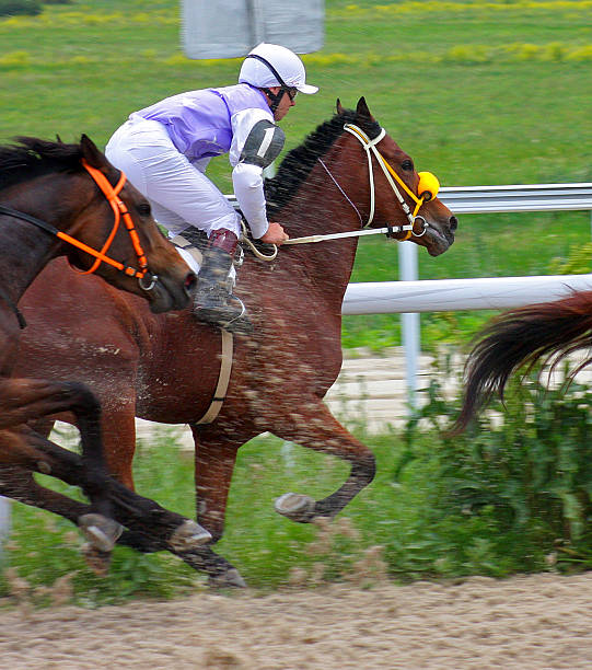 istock Horse racing in Pyatigorsk. 518032790