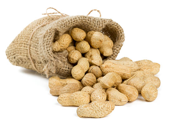 istock peanuts in a miniature burlap bag isolated on white 518033396