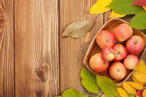 istock Autumn leaves and apples over wood background 518037421