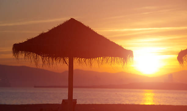 istock Palm beach umbrella in sunset 518037653