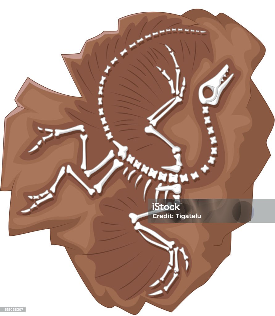 Cartoon Archeopteryx fossil Vector illustration of Cartoon Archeopteryx fossil Dinosaur stock vector