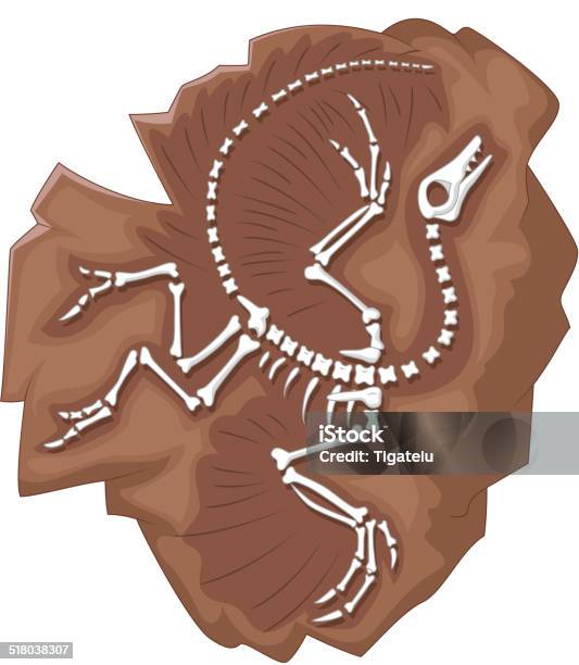 Cartoon Archeopteryx Fossil Stock Illustration - Download Image Now - Dinosaur, Fossil, Animal Skeleton