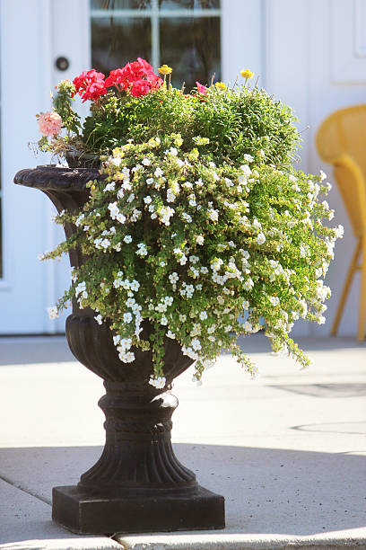 istock Formal Garden Flower Pot 518039967