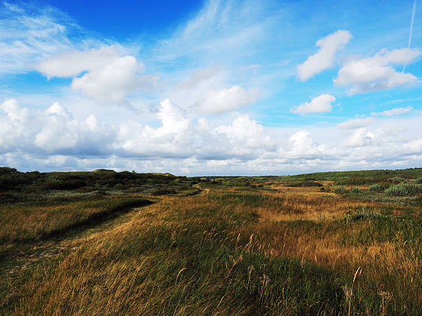 ваттовое остров texel - wadden wadden sea unesco world heritage site sea стоковые фото и изображения