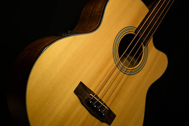istock Acoustic fretless bass 518042685