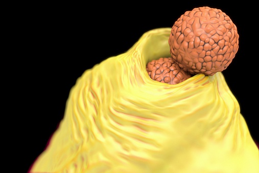 Neutrophil Ingesting MRSA bacteria, 3D artwork