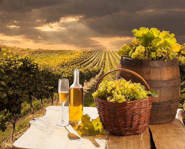 white wine on wood table stock photo